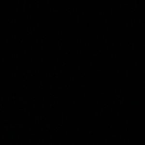 Meet your Posher, Avery